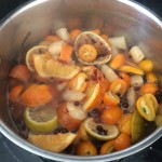Spicy Citrus Stovetop Simmering Potpourri