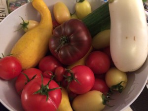 Pictured: Armenian cucumber, White Star Hybrid eggplant, Manitoba tomatoes, Yellow Pear tomatoes, Black Krim tomatoes, cream sausage tomatoes, Sprite tomatoes