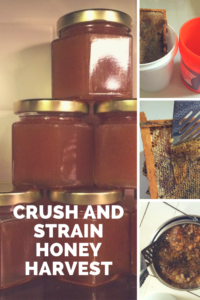 Step-by-step crush and strain DIY for honey extraction without expensive equipment