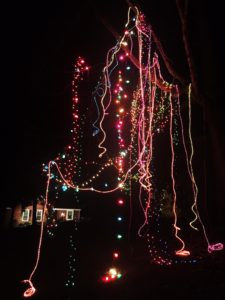 Wild, wacky Mardi Gras lights for Christmas 